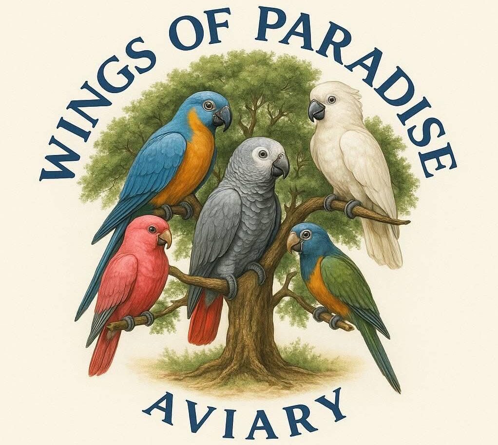 wings of paradise aviary